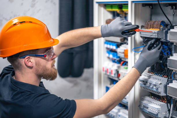 Best Ceiling Fan Installation Electrician  in Grayling, MI